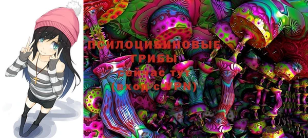 шишки Алзамай