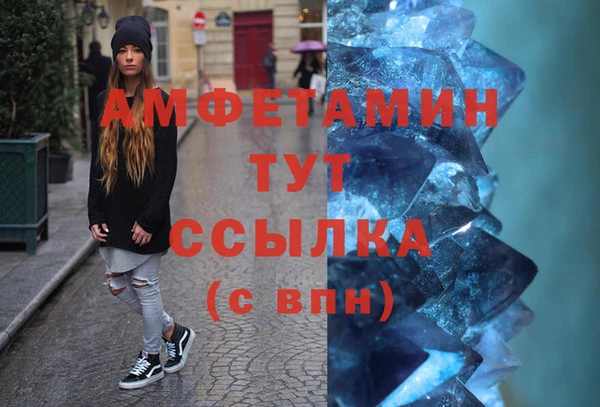шишки Алзамай