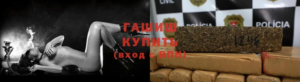 крисы Абаза