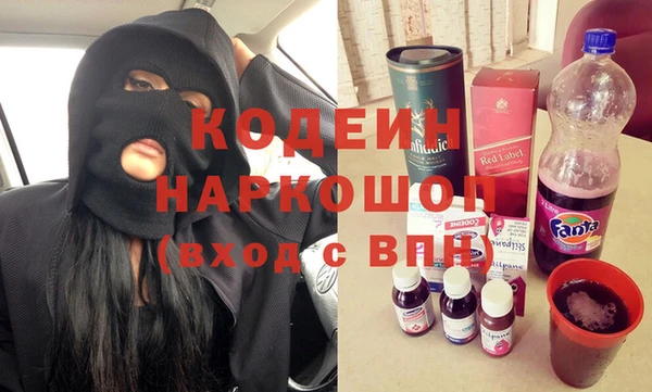 крисы Абаза