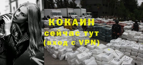 крисы Абаза