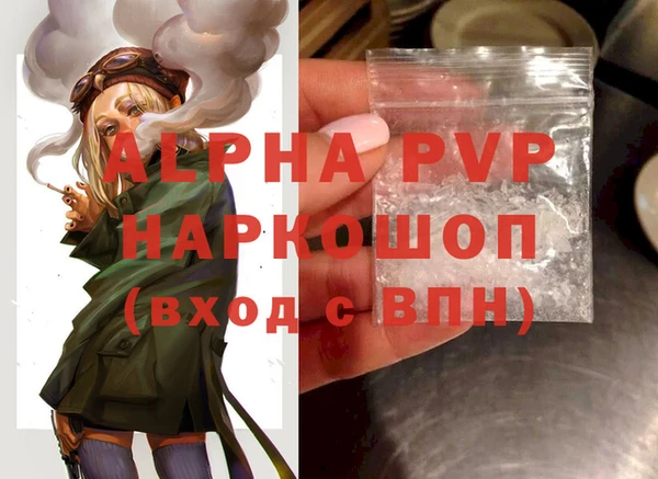 крисы Абаза