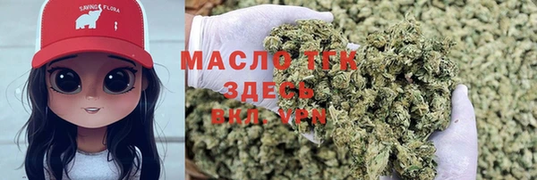 крисы Абаза