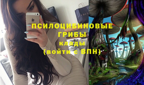 шишки Алзамай