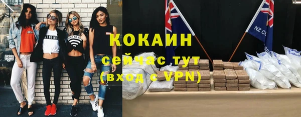 крисы Абаза