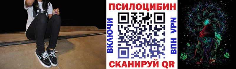 Галлюциногенные грибы прущие грибы  OMG ТОР  Туринск 
