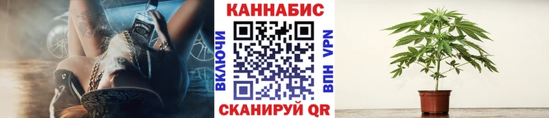 Канабис гибрид  Туринск 